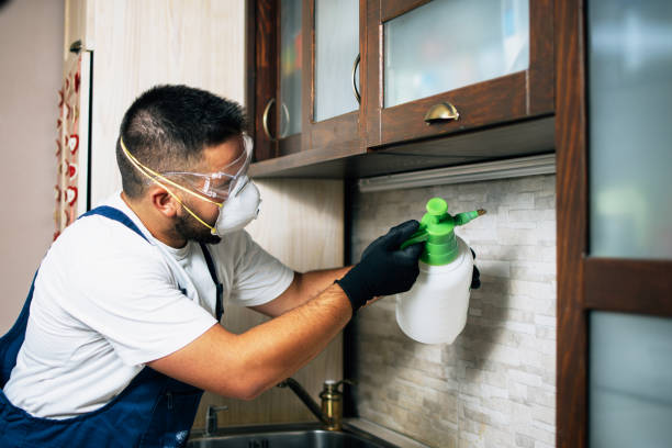 Pest Control Cost in Runnemede, NJ