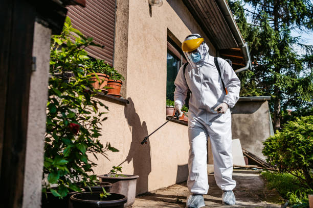 Bird Control in Runnemede, NJ