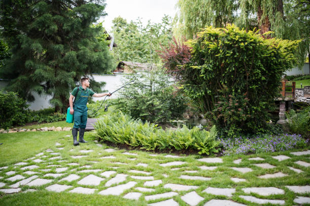 Best Pest Inspection Near Me  in Runnemede, NJ