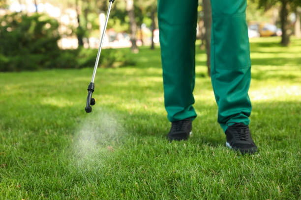 Best Mosquito Control Services  in Runnemede, NJ
