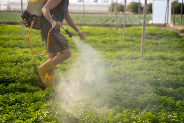 Best Pest Prevention Services  in Runnemede, NJ