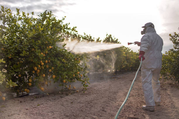 Professional Pest Control in Runnemede, NJ