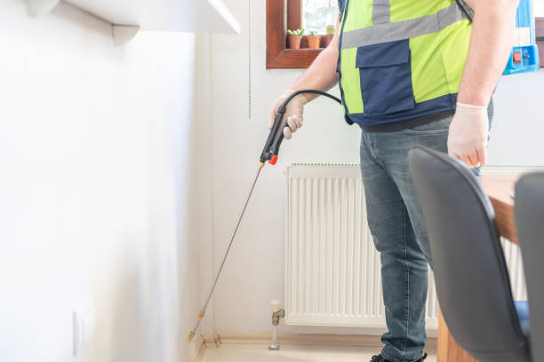 Best Flea Control Services  in Runnemede, NJ