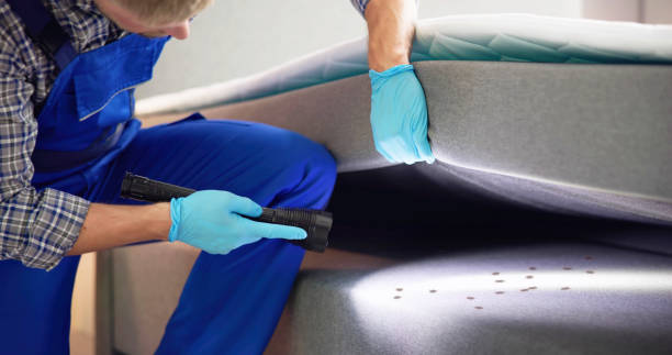 Best Best Pest Control Companies  in Runnemede, NJ